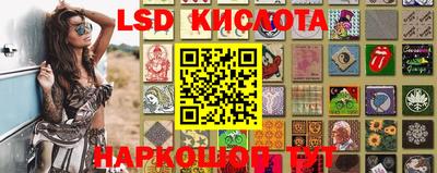 ПСИЛОЦИБИНОВЫЕ ГРИБЫ Гусев