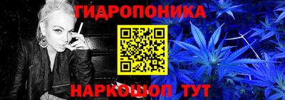 ПСИЛОЦИБИНОВЫЕ ГРИБЫ Гусев