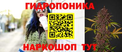 Альфа ПВП Сосновоборск
