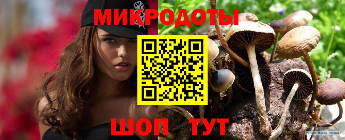 Псилоцибиновые грибы мухоморы Ногинск