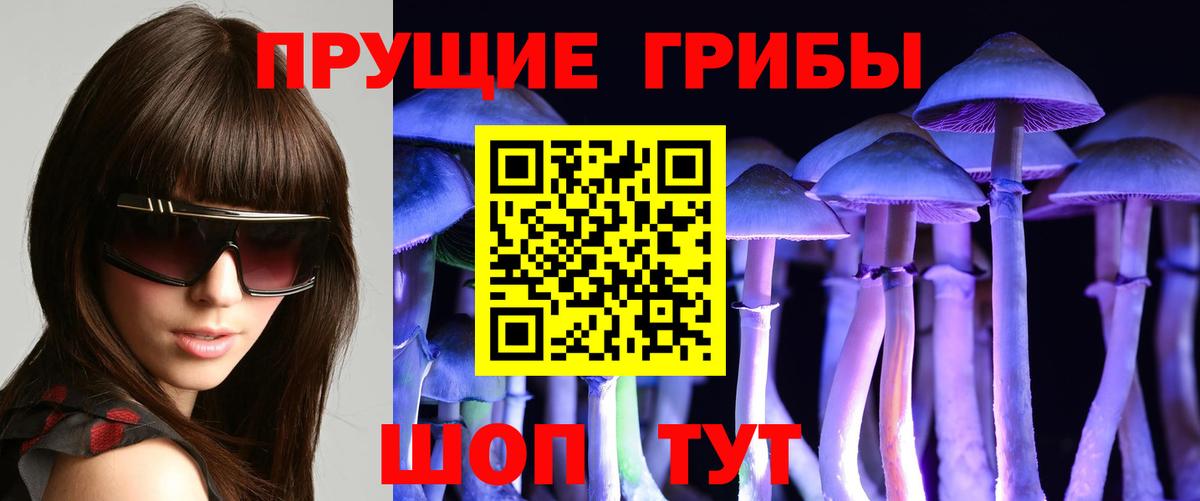 Ногинск  Галлюциногенные грибы Psilocybe  Вход с VPN  Псилоцибиновые грибы MAGIC MUSHROOMS 